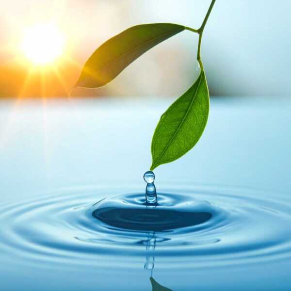 Illustration douce et épurée avec des symboles d’eau, feuille et soleil, évoquant la propreté
