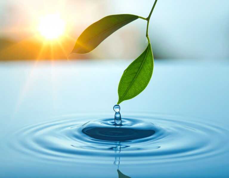 Kit Hygiène – Travel Clean